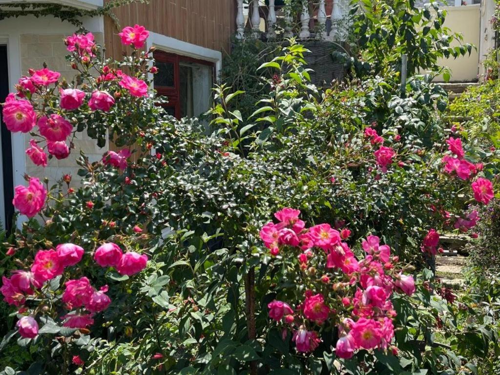La Roza Dalat Boutique Hotel Exterior foto