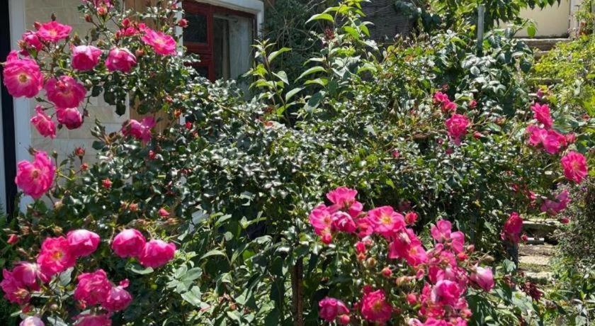 La Roza Dalat Boutique Hotel Exterior foto
